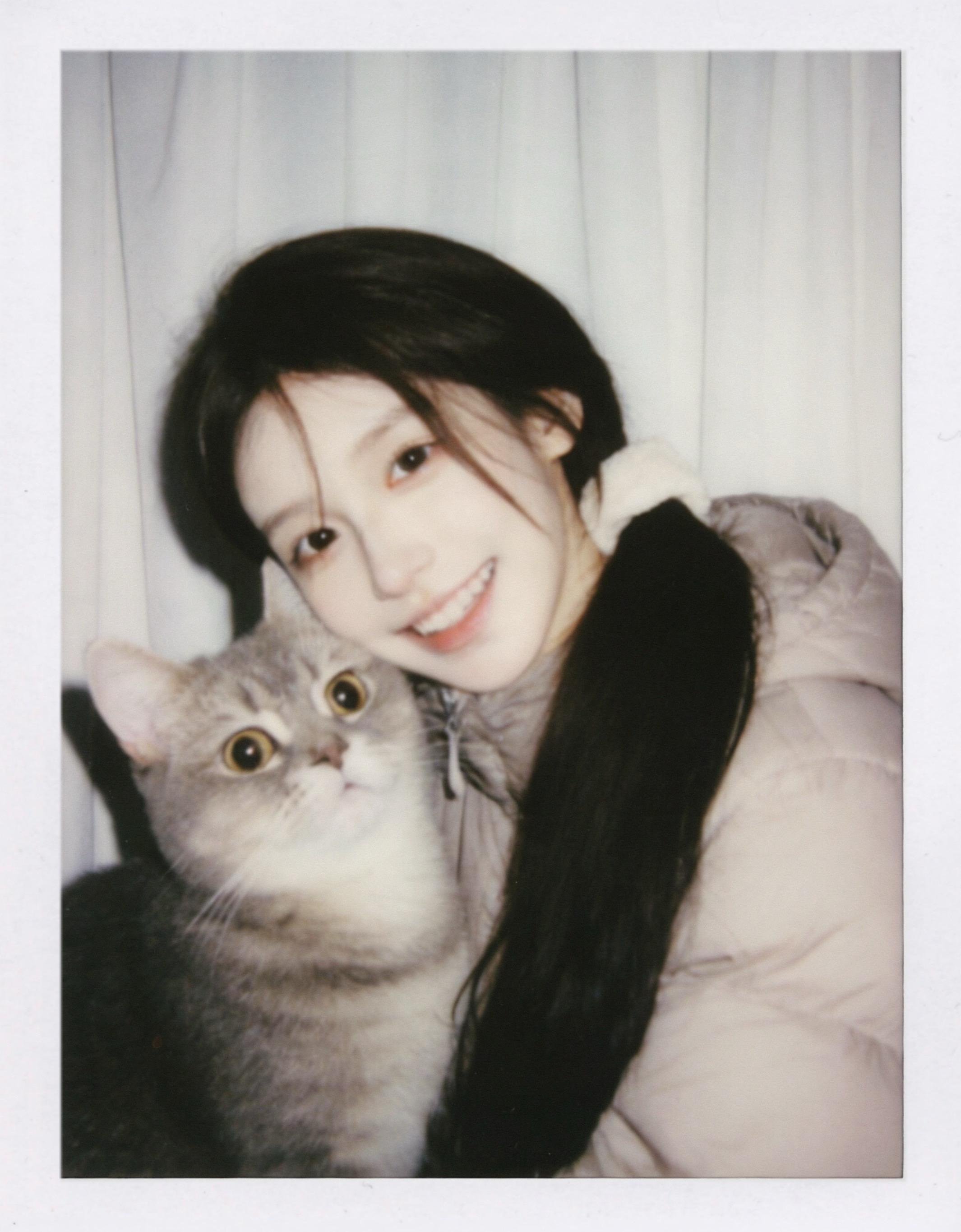 世界破破烂烂 小猫缝缝补补
