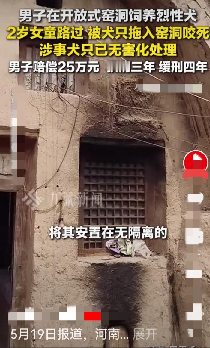 看到一条新闻，有点理解不了，河南汝州男子毛某义，养了一条禁止饲养的捷克狼犬，这样