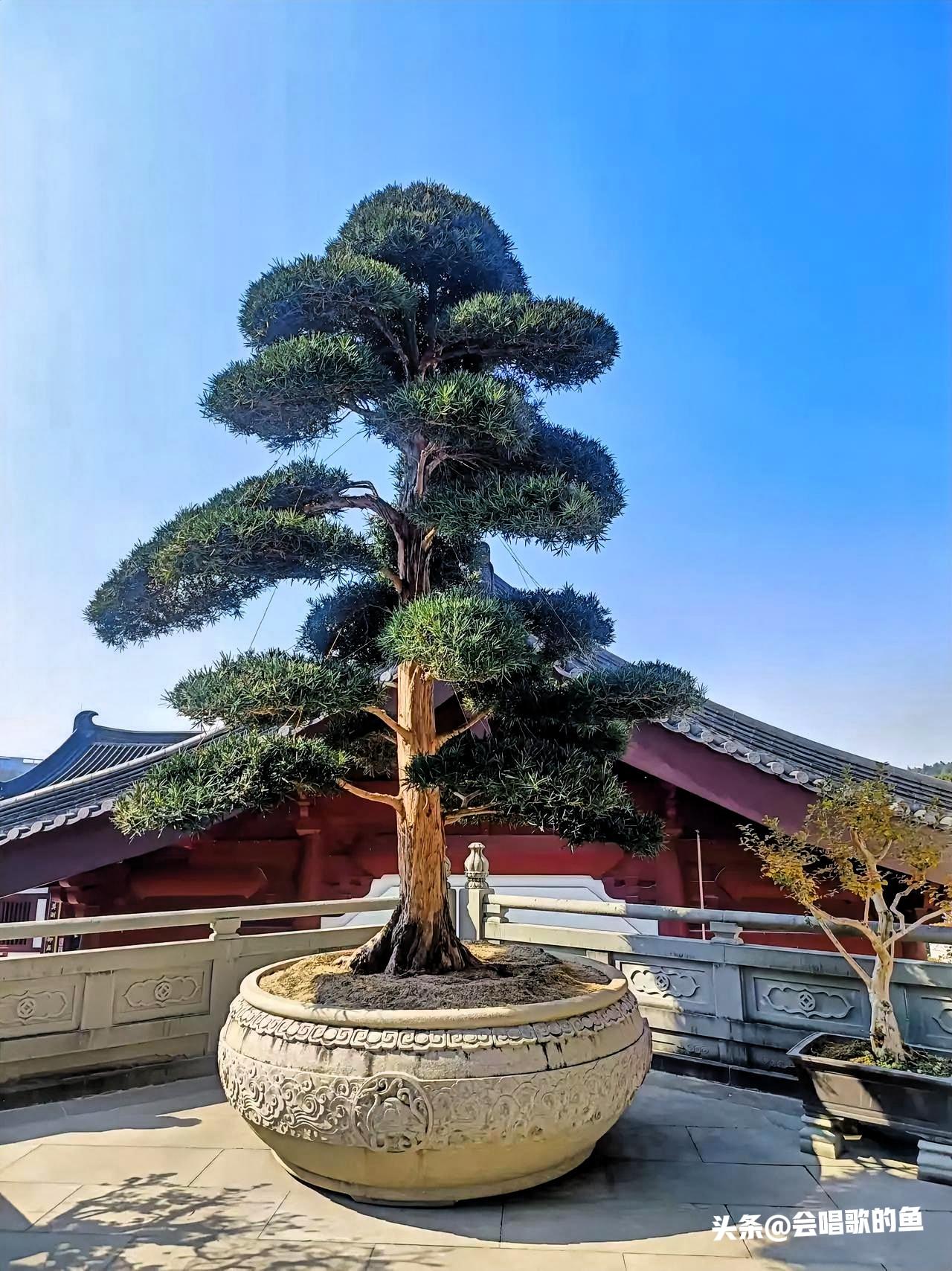 拿捏一个人最狠毒的方式，从来不是硬碰硬的争执，而是不动声色的清醒。
 
与人来往