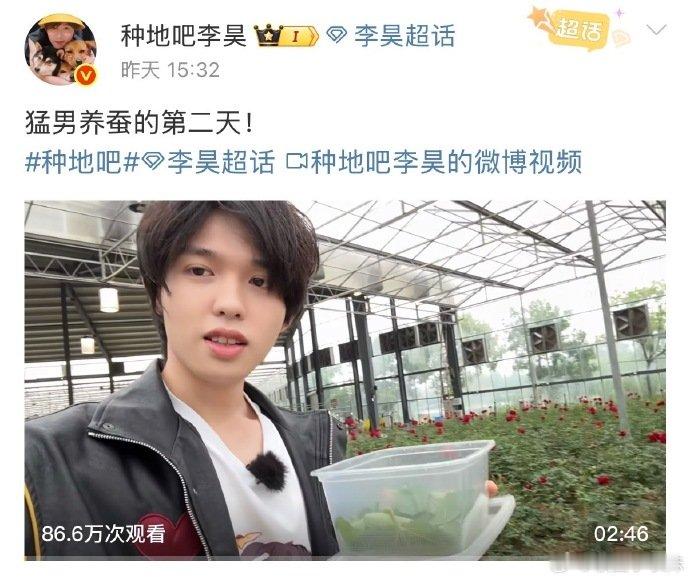 李昊日更vlog博主李昊的猛男养蚕 vlog 连更三天咯！看着蚕宝宝的变化，真的