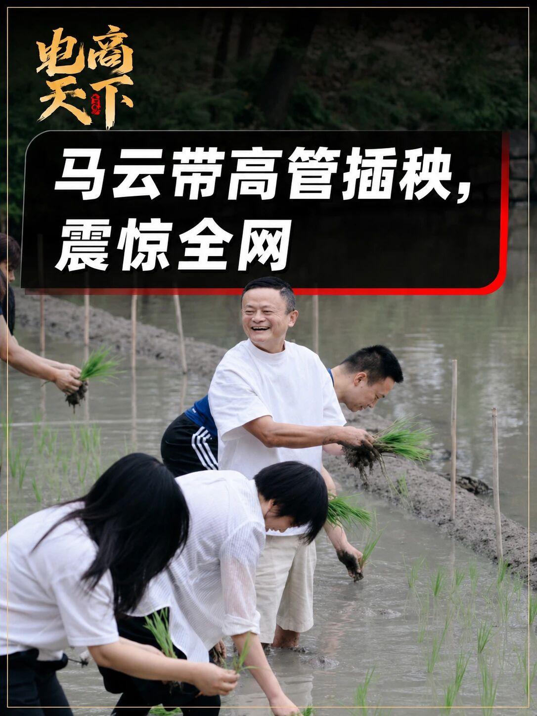 马云带高管插秧，最新情况来了！

6月22日，阿里巴巴合伙人、高德董事长刘振飞在