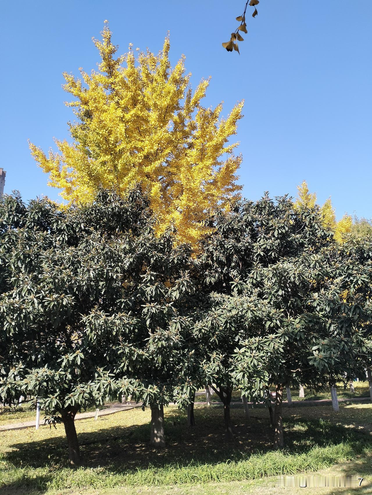 今年回老家过年，发现一反常现象：不太通人情的，反而发财了。
往年的大概情况，上过