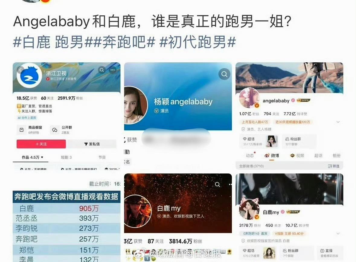 网友热议Angelababy和白鹿谁才是跑男的一姐？ 