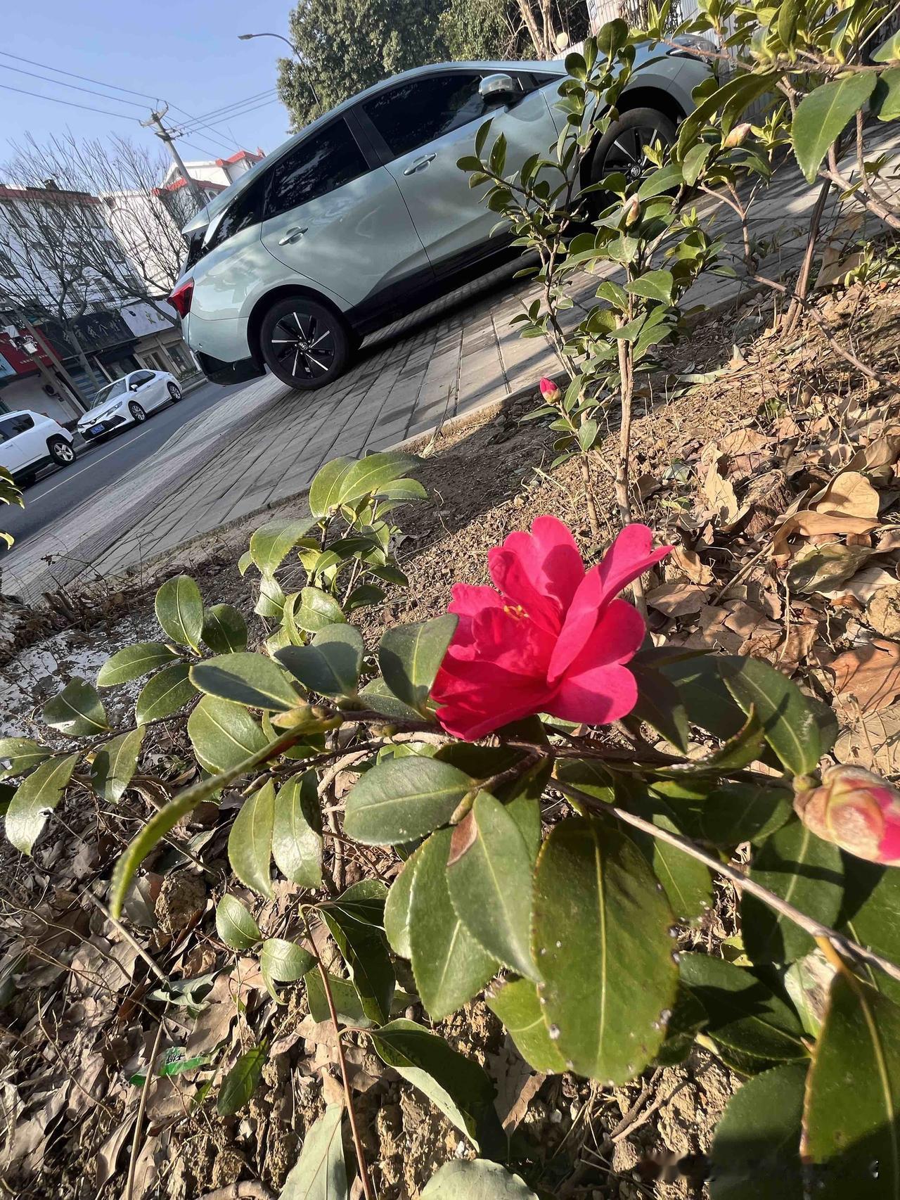 上班没人管也要自觉。

今天是星期一，公司里大多人都休息，只有5、6人员留着值班