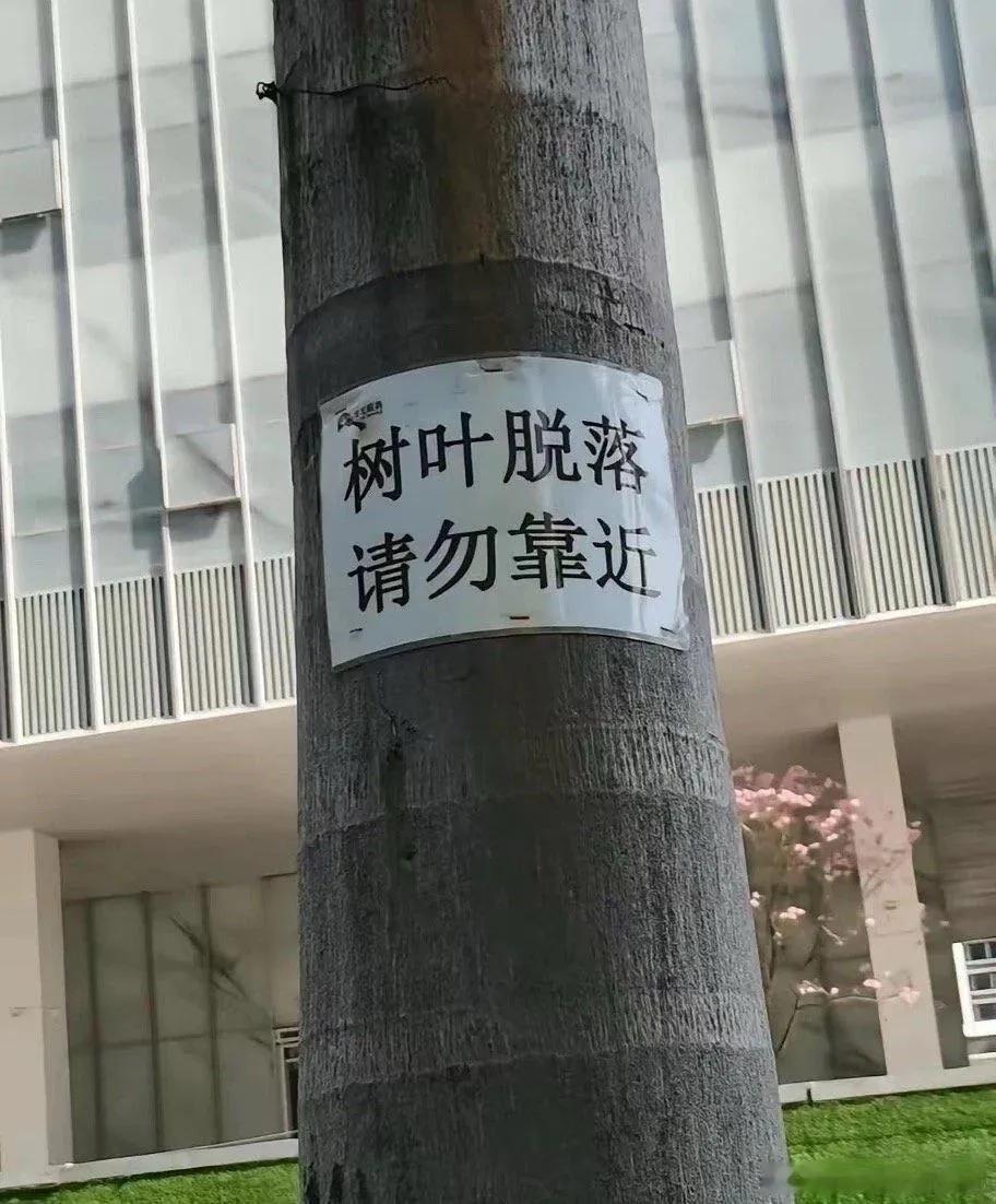刚来广东时觉得这个告示单很搞笑，直到看到了实物才吓了一大跳！
