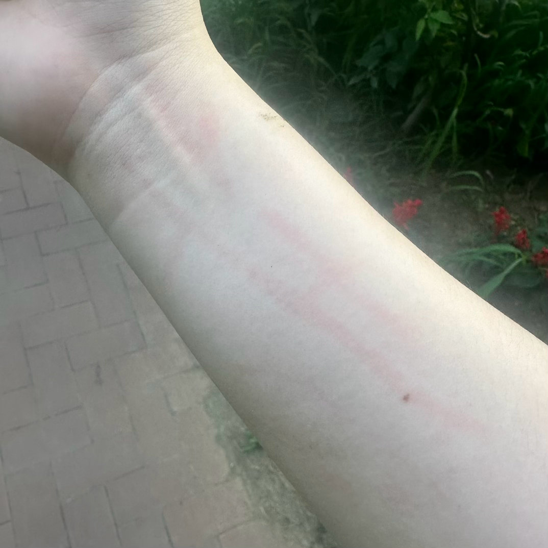 碰到一只比，架裹给我抓的 