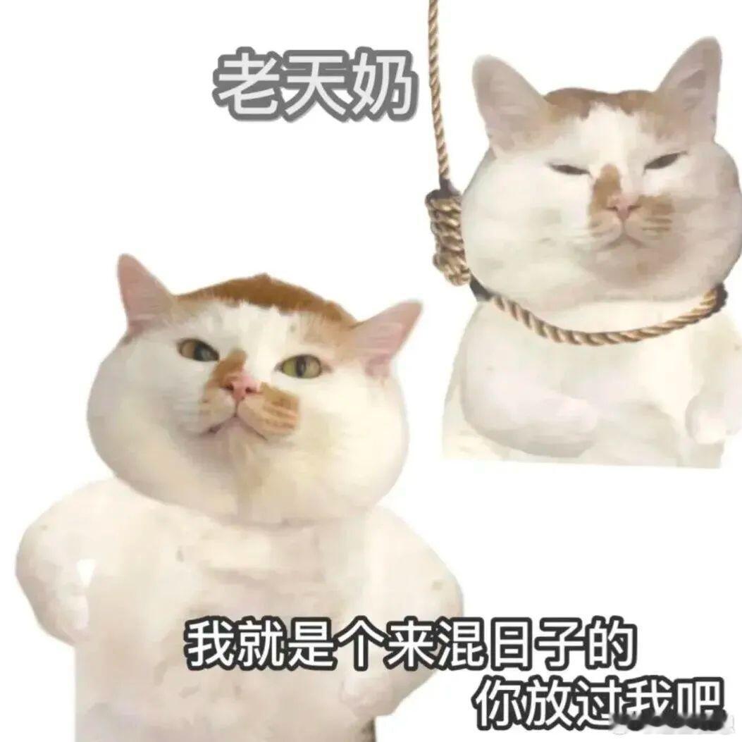 字节跳动去年净利润下滑超70% 字节跳动在海外构建了完善的合规体系，保障了业务的