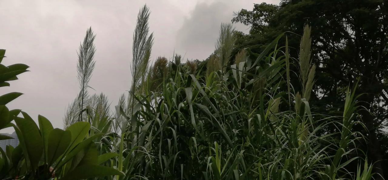 中秋节又过去几天了，好多地方都开始凉快了，不用开空调了，大家都在欢欣鼓舞。
我们