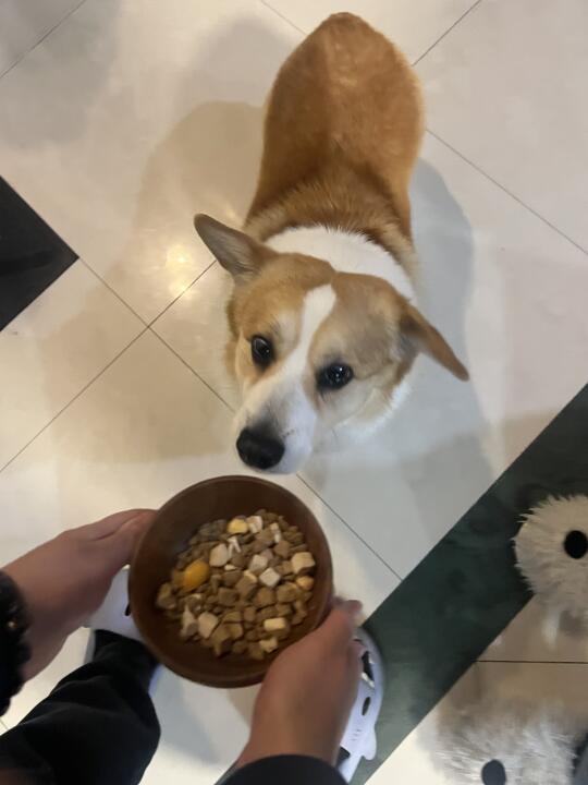 怎么有小偷在吃自助餐