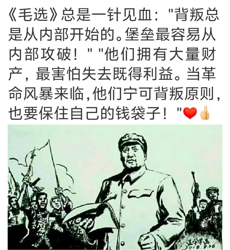 毛选总是一针见血！👍🏻