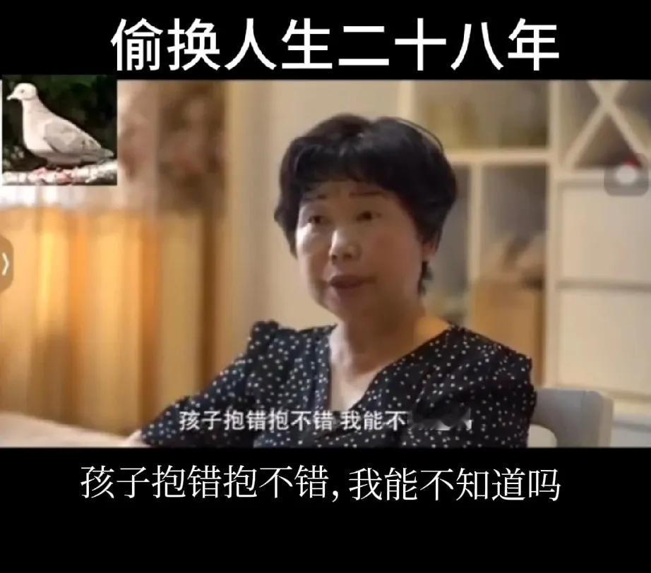 老杜28换子案被发现了，杜某的第一句名言，当时给我留下最深刻印象的就是这句：孩子