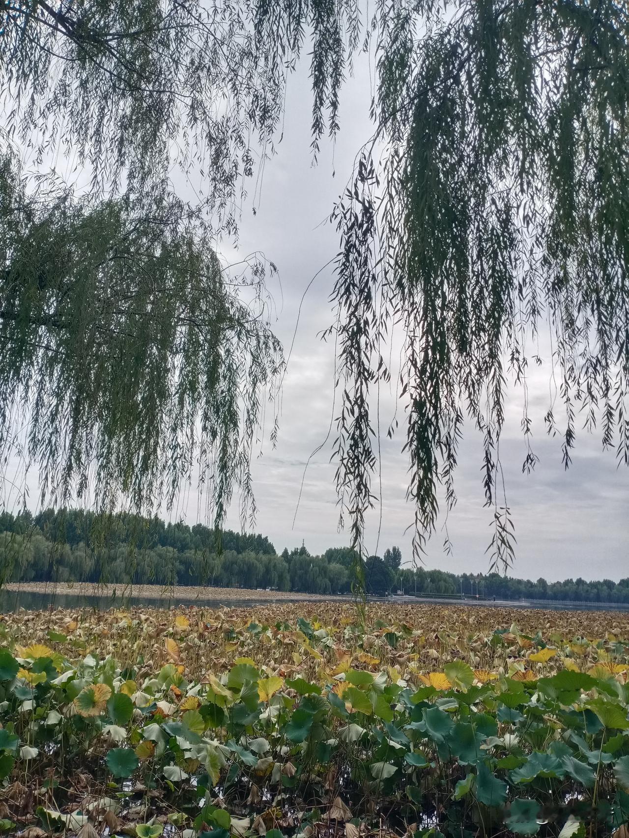 普通人追求避免失败，投资人追求管理风险。
最好的状态不是从不失败，是让你失败的成