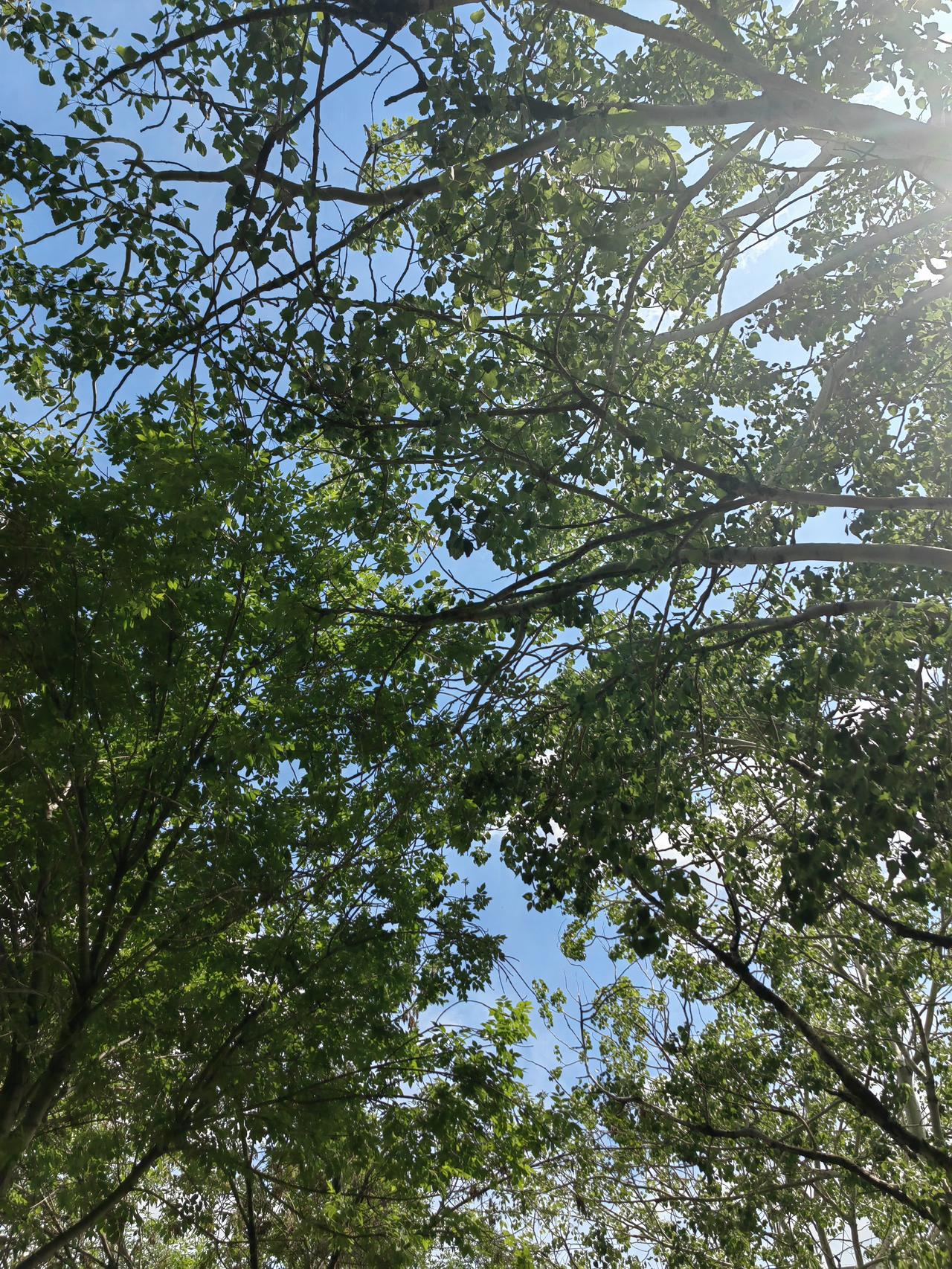 一场急匆匆的大雨落幕，原本灰蒙蒙的天色瞬间清亮起来。压抑沉闷的气氛一扫而空，抬头