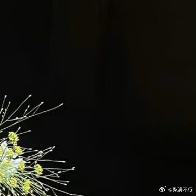 0000善行如春日暖阳，温暖他人，照亮自己。今天，让我们从小事做起，一个微笑，一
