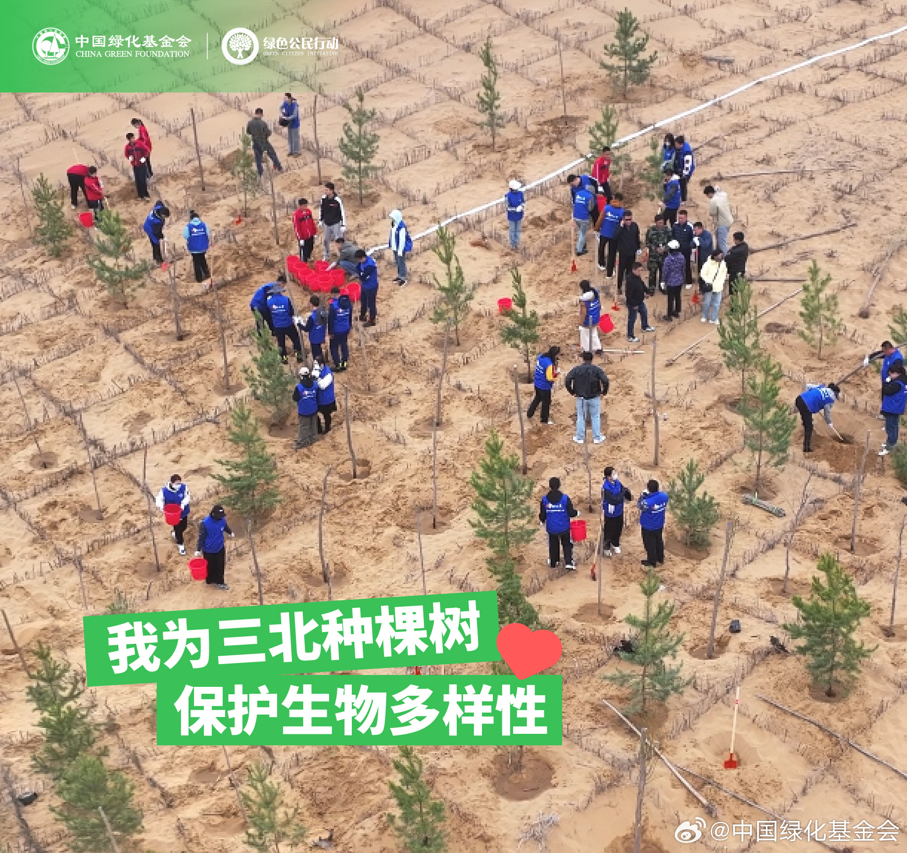 #奇妙物种守护计划# 你好呀，我是三北地区的梭梭，特别感谢你云守护了我！你知道吗