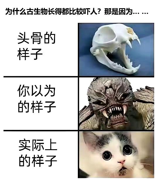 为什么古生物长得都比较吓人？