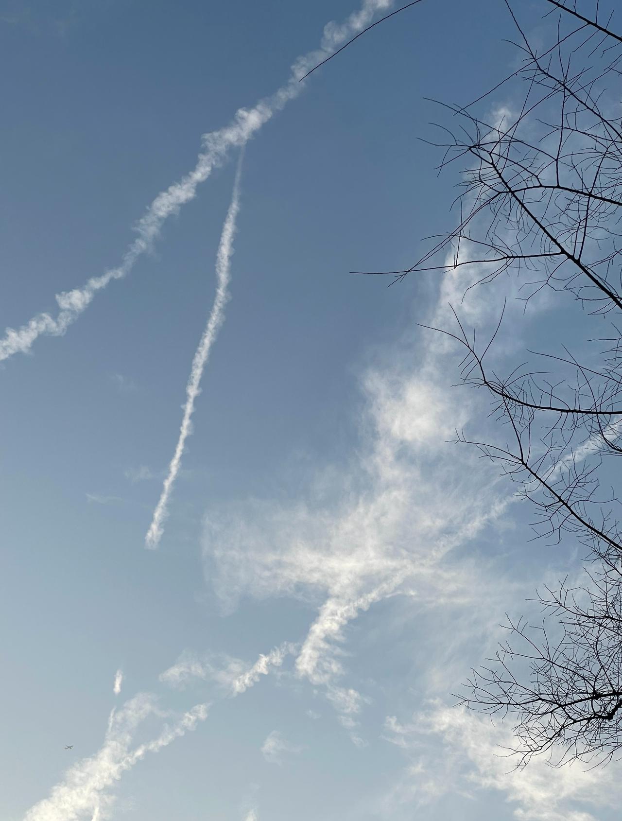 今年父母对小孩的劝诫
已经从「别吵了，去玩你的平板」
变成了「别吵了，去玩你的 