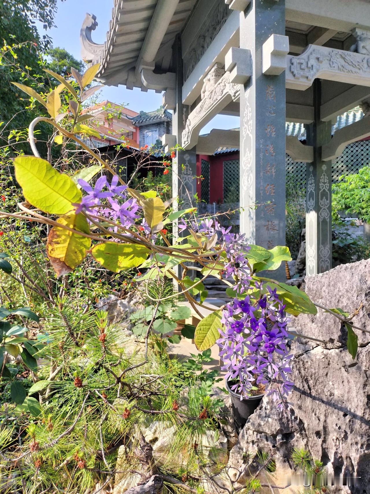晒出你的本地生活