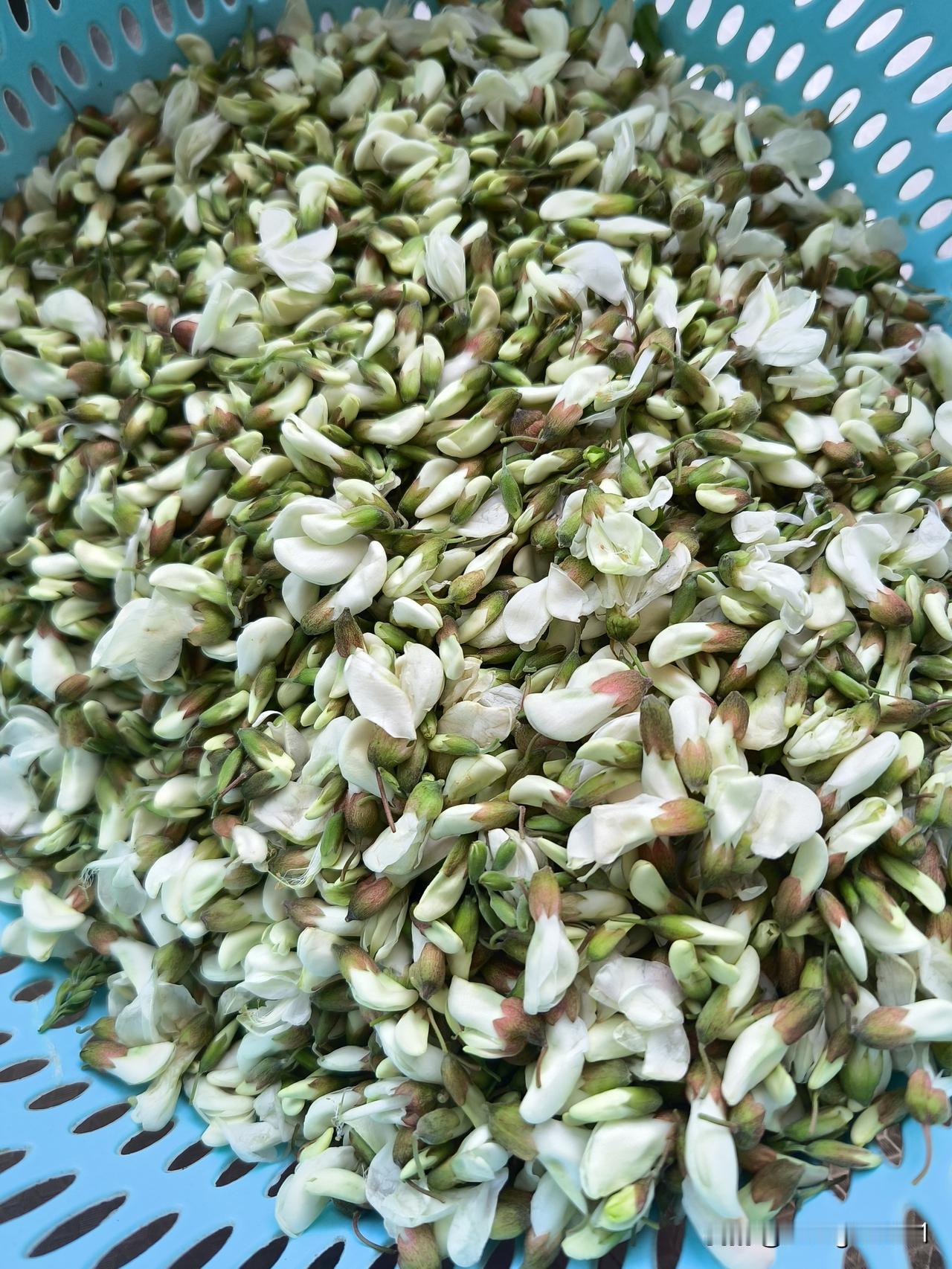 槐花饺子
    自己采摘或菜市场买的槐花要先去杂，用水浸泡后再在沸水里烫一下，