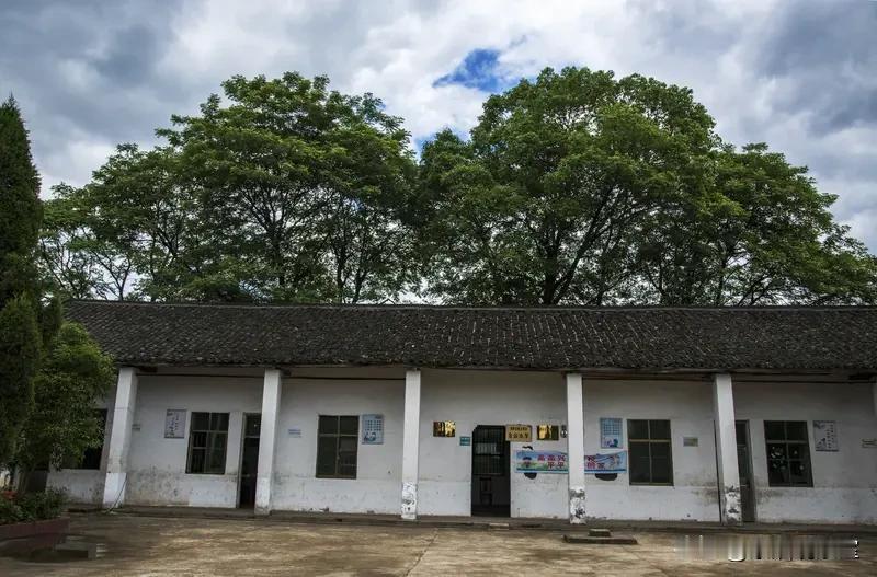 温铁军直言：乡村小学快没了，根本不是为教育，是逼你进城买房！
 
著名三农专家温