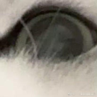 日行一善日行一善日行一善,善行一生你好一起保护大自然与社会携手做公益关爱唇腭裂儿