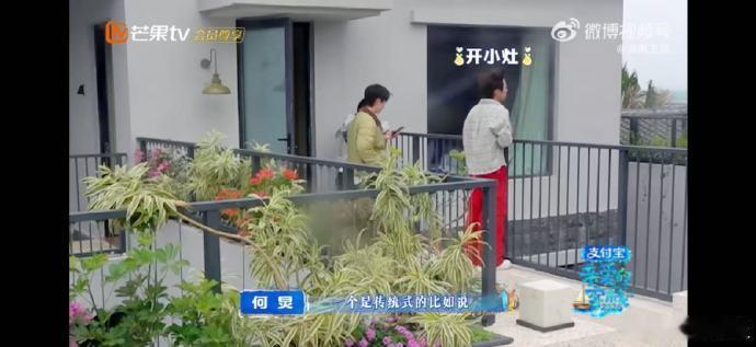 沈月沈月你们别依赖AI何炅教客栈团写述职报告亲爱的客栈何老师温柔解惑，条理清晰拆
