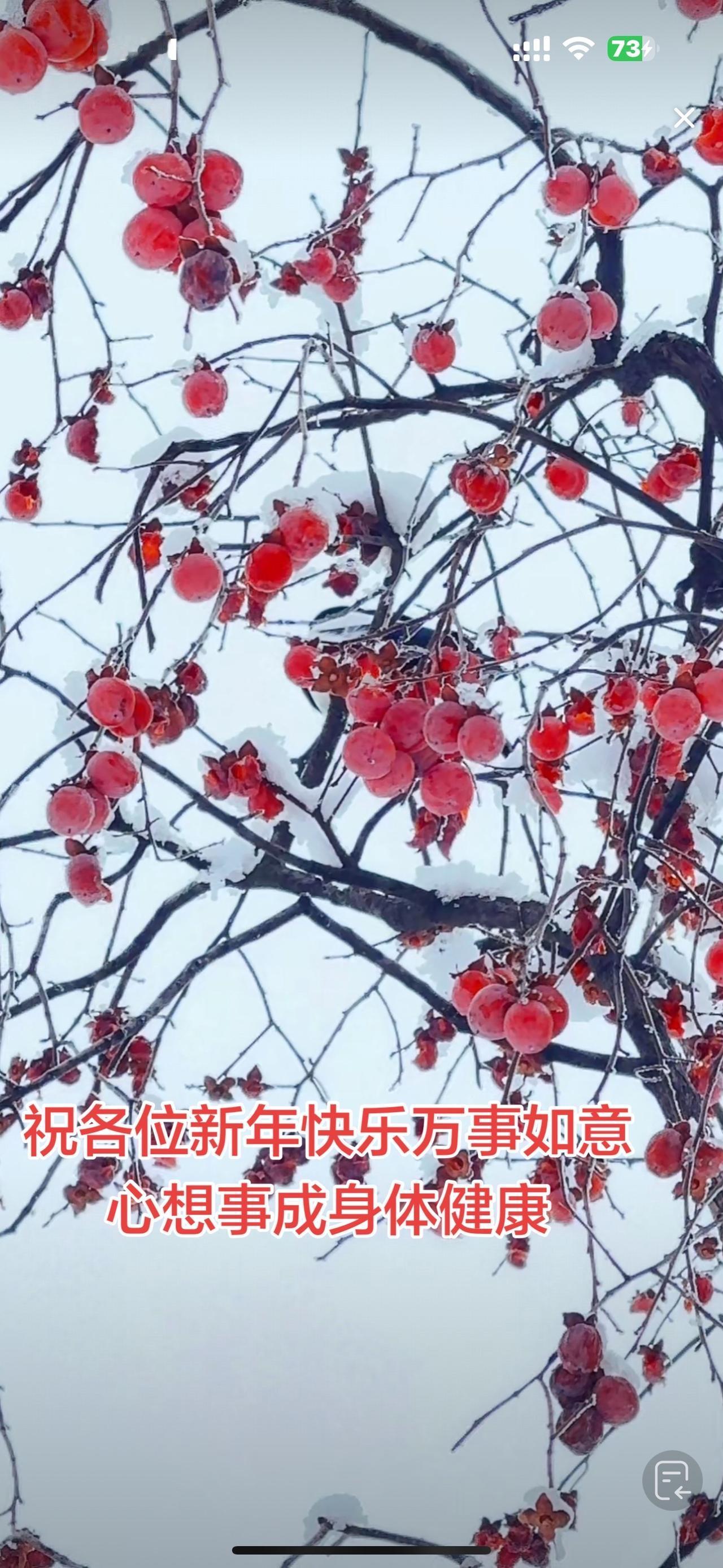 每天传递正能量 创作者中心 创作灵感