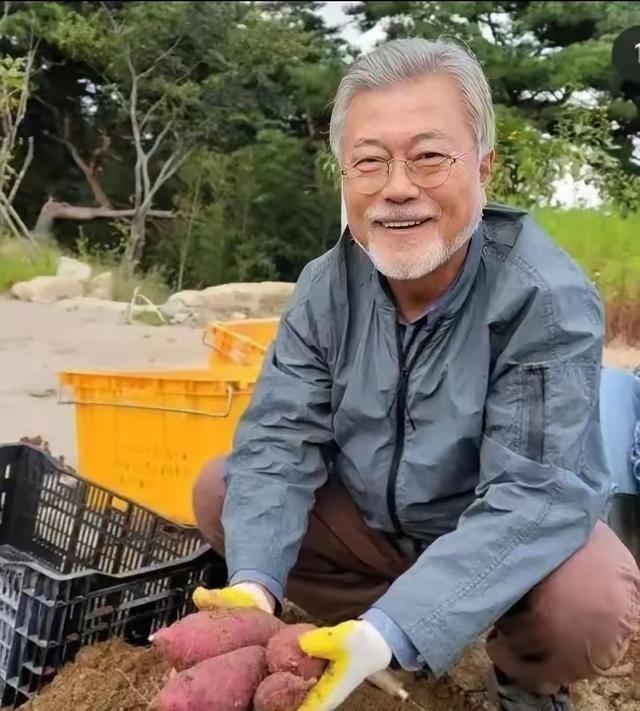 73岁文在寅挖红薯自食其力，虽然每个月他有74000人民币的退休金，但是他依然热