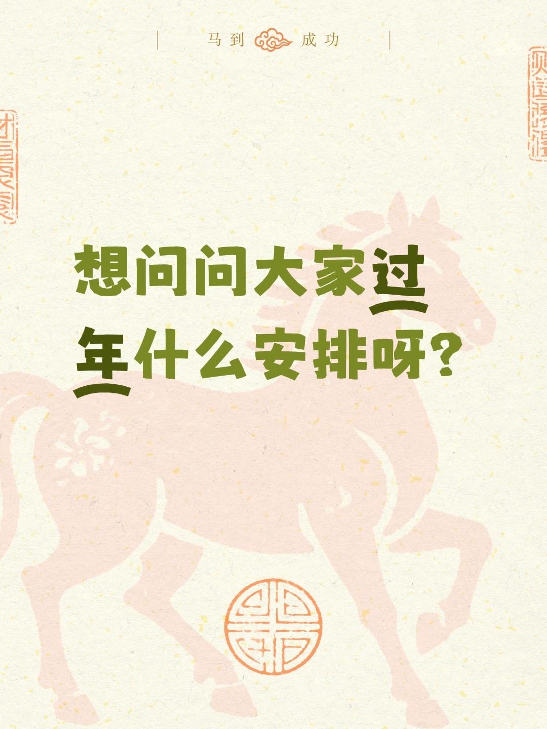 想问问大家过年什么安排呀？