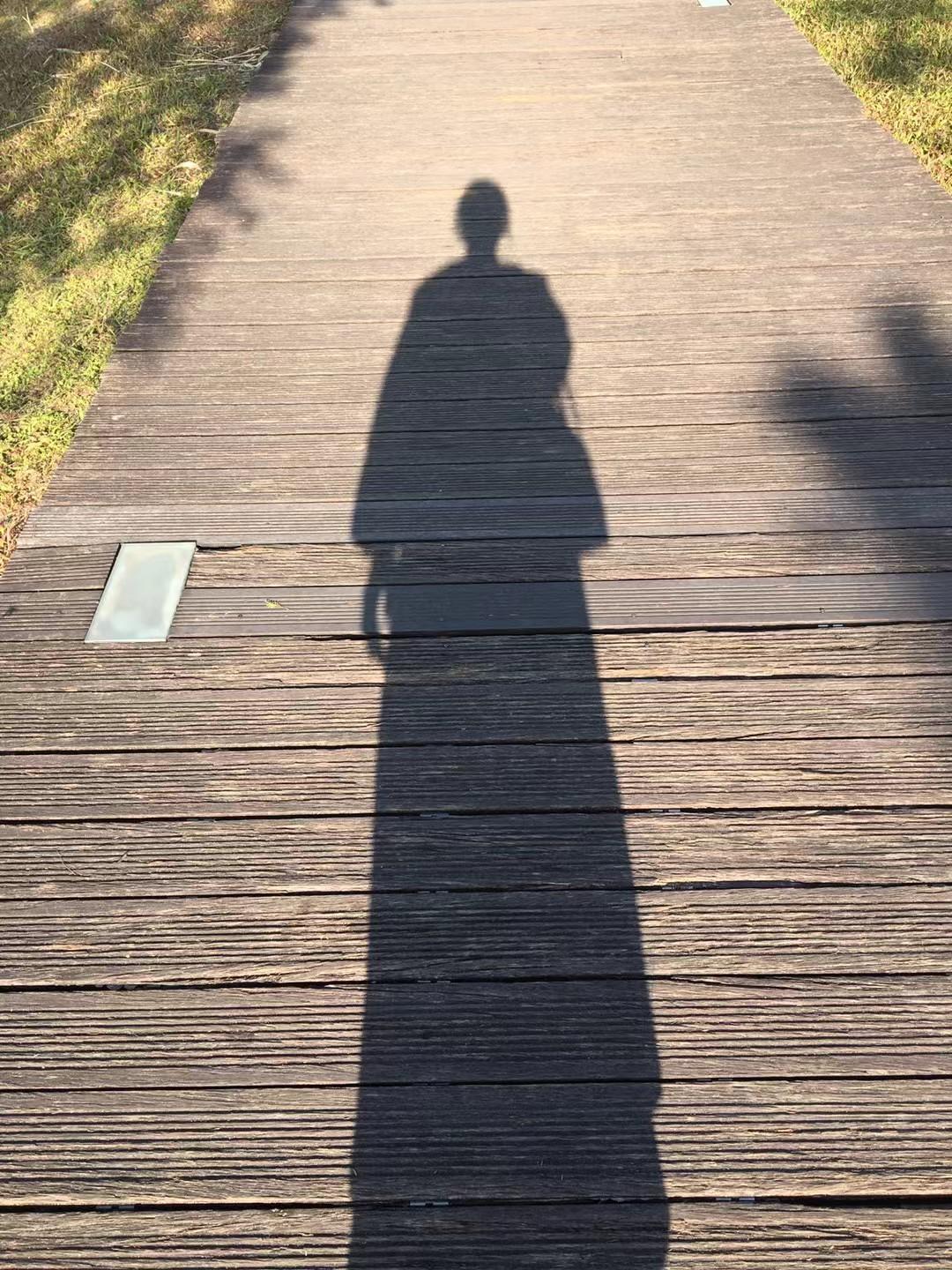 我现在的自由和平静都是因为“不听话”得到的，
我从不后悔，还觉得庆幸！

对于大