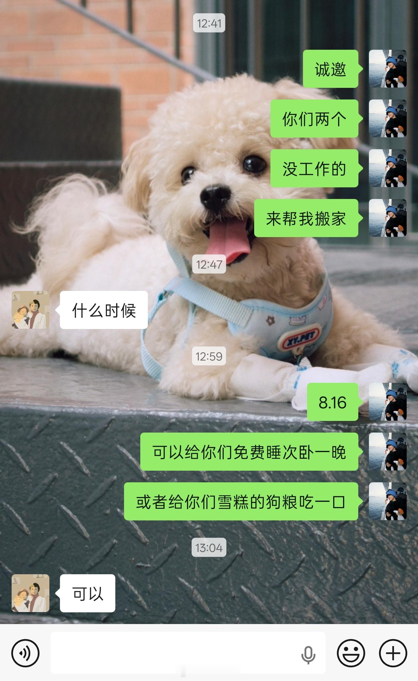 我就这样 