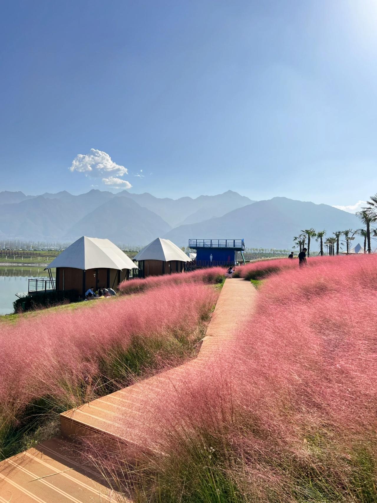 #旅行推荐官 #亲子游玩好去处 #感受大自然的气息和美景 #周边游 #露营