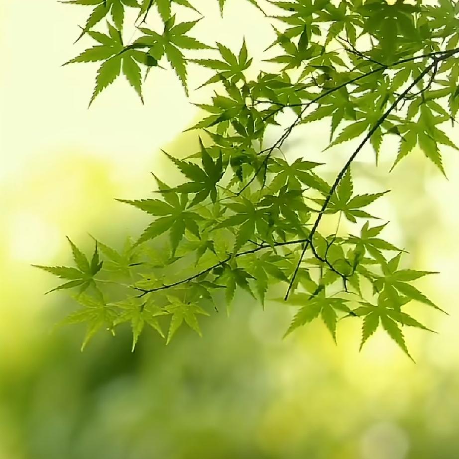 很喜欢一句话：心有沉淀，方能从容而立。
人这一生，所有的慌乱、焦虑、迷茫，归根结