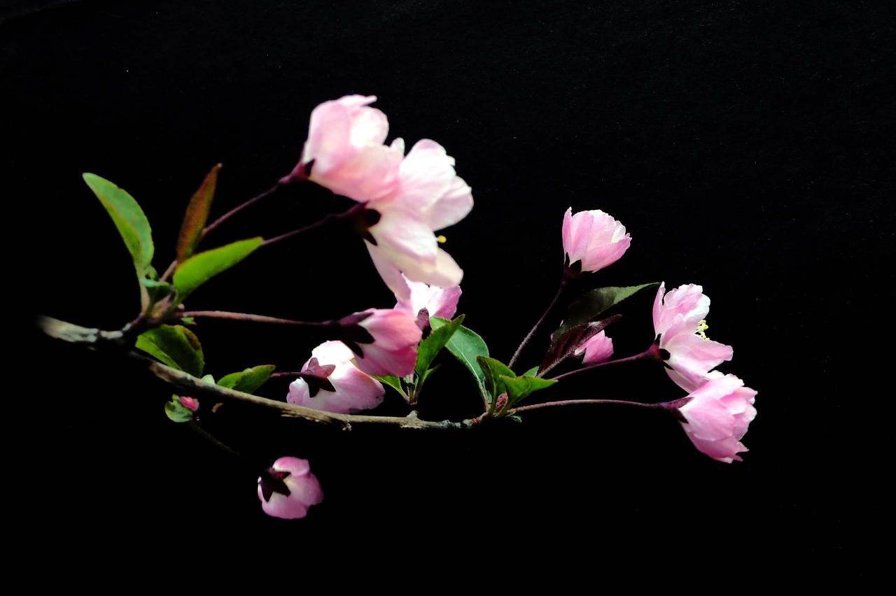 周二，量能和领涨方向将决定大A能否向上突破！
隔夜，美股三大股指均低开高走，纳指