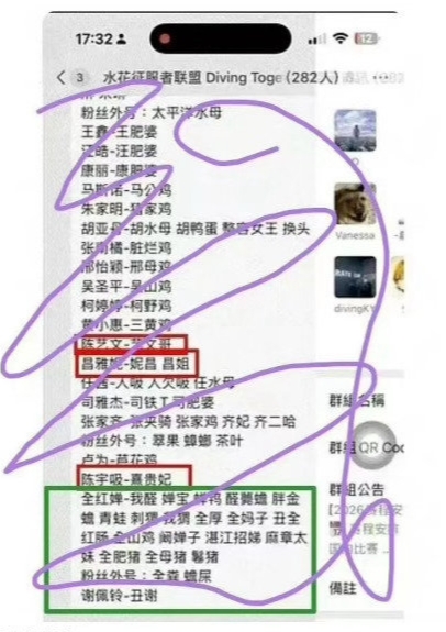 全红婵遭网暴已报警！网传282人群组长期攻击全红婵&起侮辱性