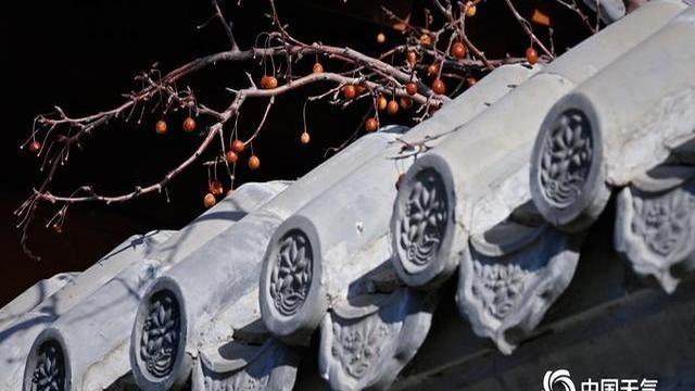 都说“二九”冷嗖嗖，冻得人直哆嗦！可12月30号这天，北京城却来了个“反转”！阳