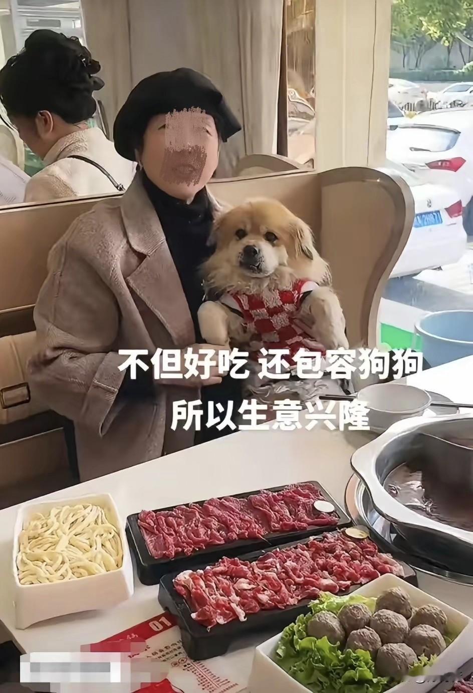 抱着狗狗上餐桌吃火锅！谁能受得了？喜欢狗是个人的权利，但是不能把自己的认知强加给