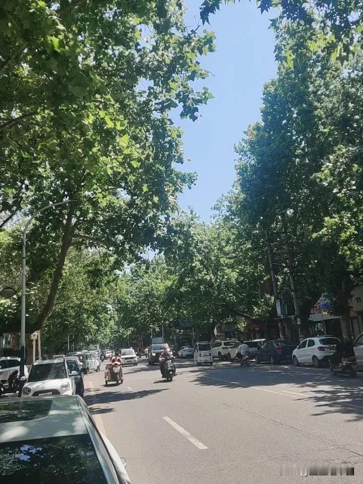 中午的风伴着大辣辣的太阳，把法国梧桐树的桐毛吹的到处都是。
汽车过后，卷起的不是