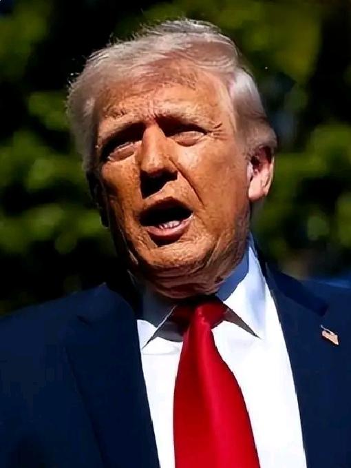 【谁还信美国？谁还信特朗普？特朗普8日在土耳其首都安卡拉参加北约峰会时说，他认为