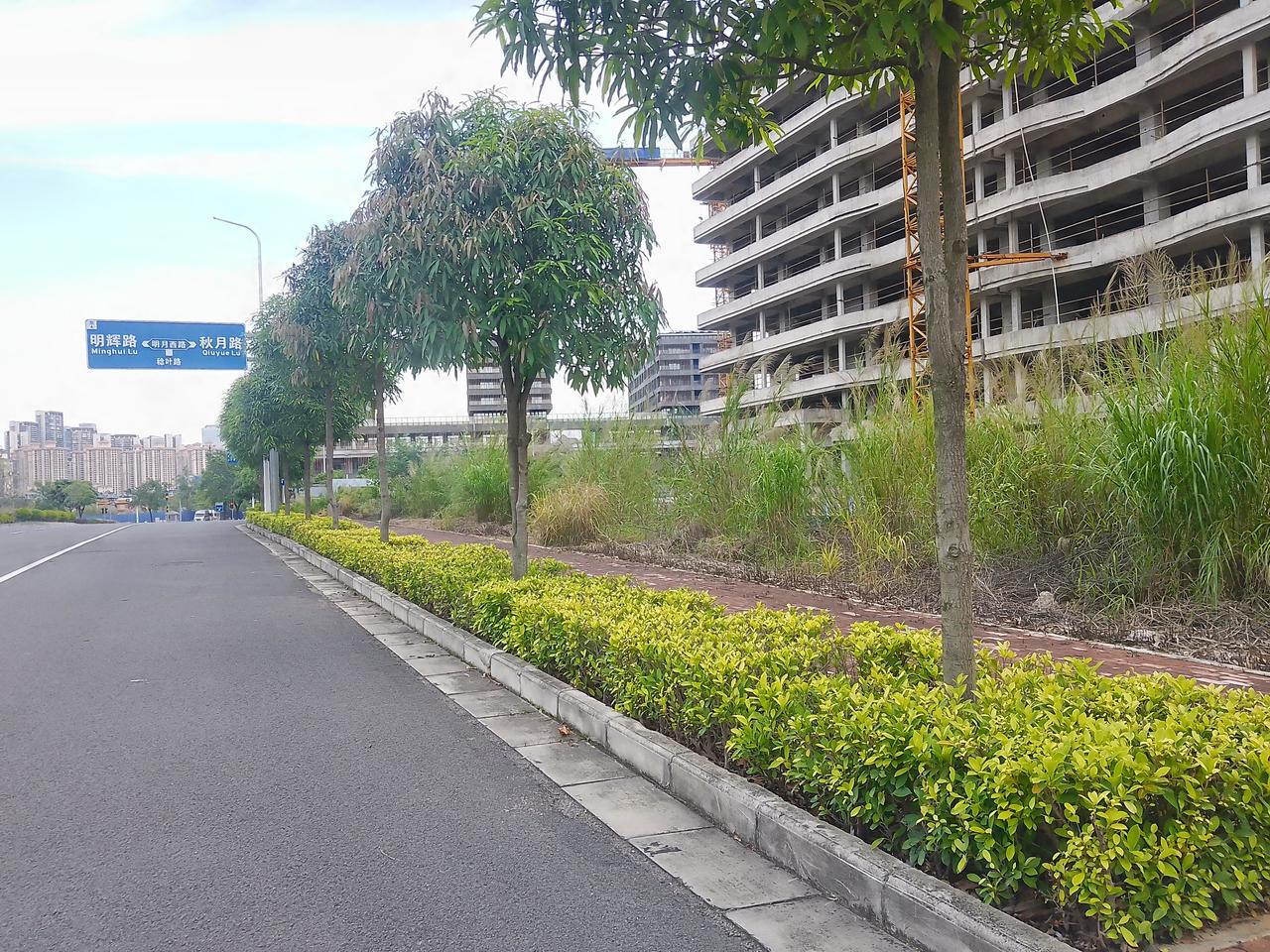 突然发现学校里成绩好的那几个同学，无论怎么调座位，他们一直都是交叉坐在一起！真的