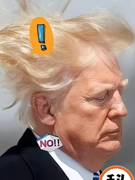 美国传来新消息
2026年4月3日，美国白宫宣布了一个重磅消息：特朗普总统签署文