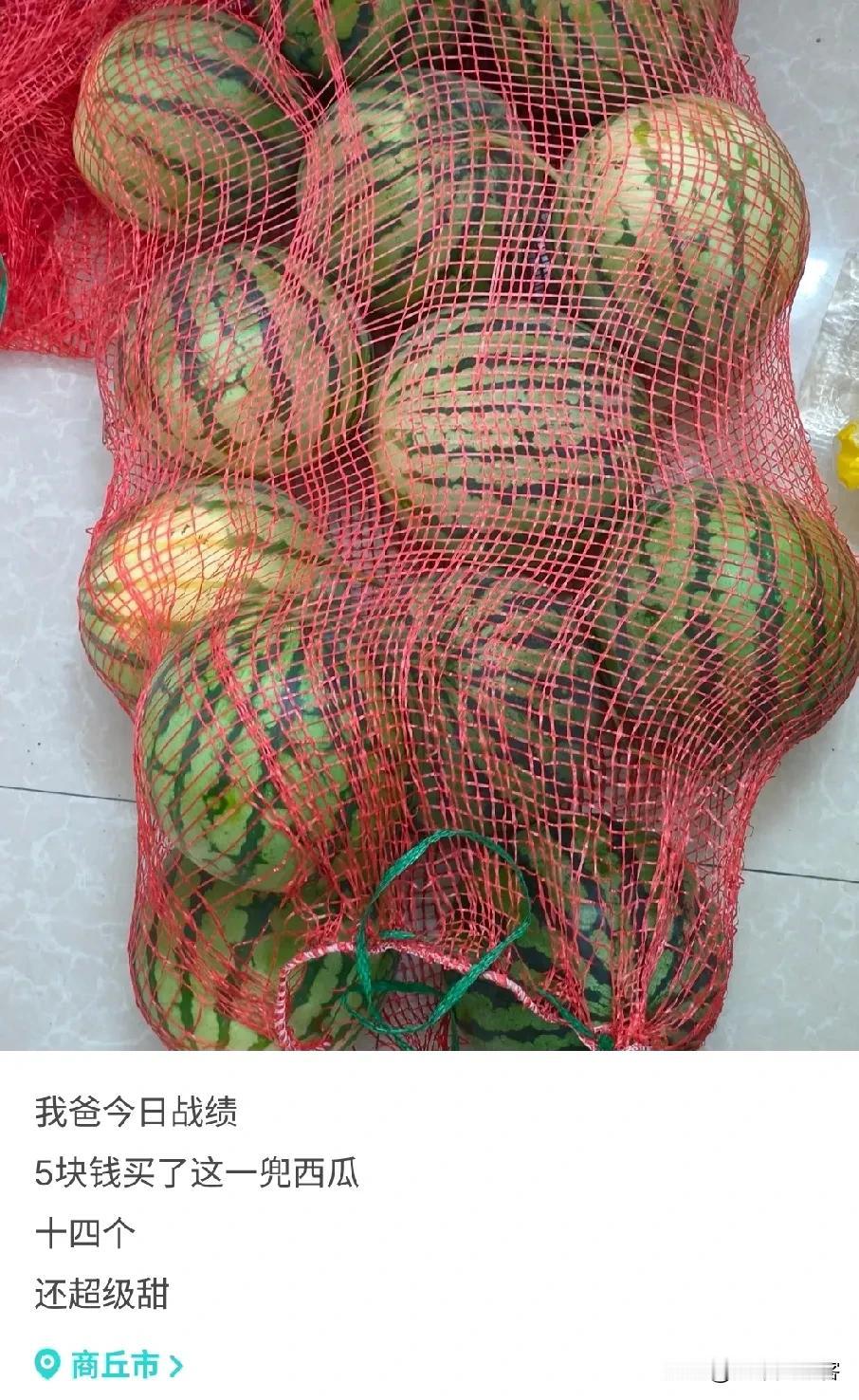 河南商丘网友分享的画面看得心里五味杂陈，五块钱就能拿下十四个西瓜，网友说商贩整车