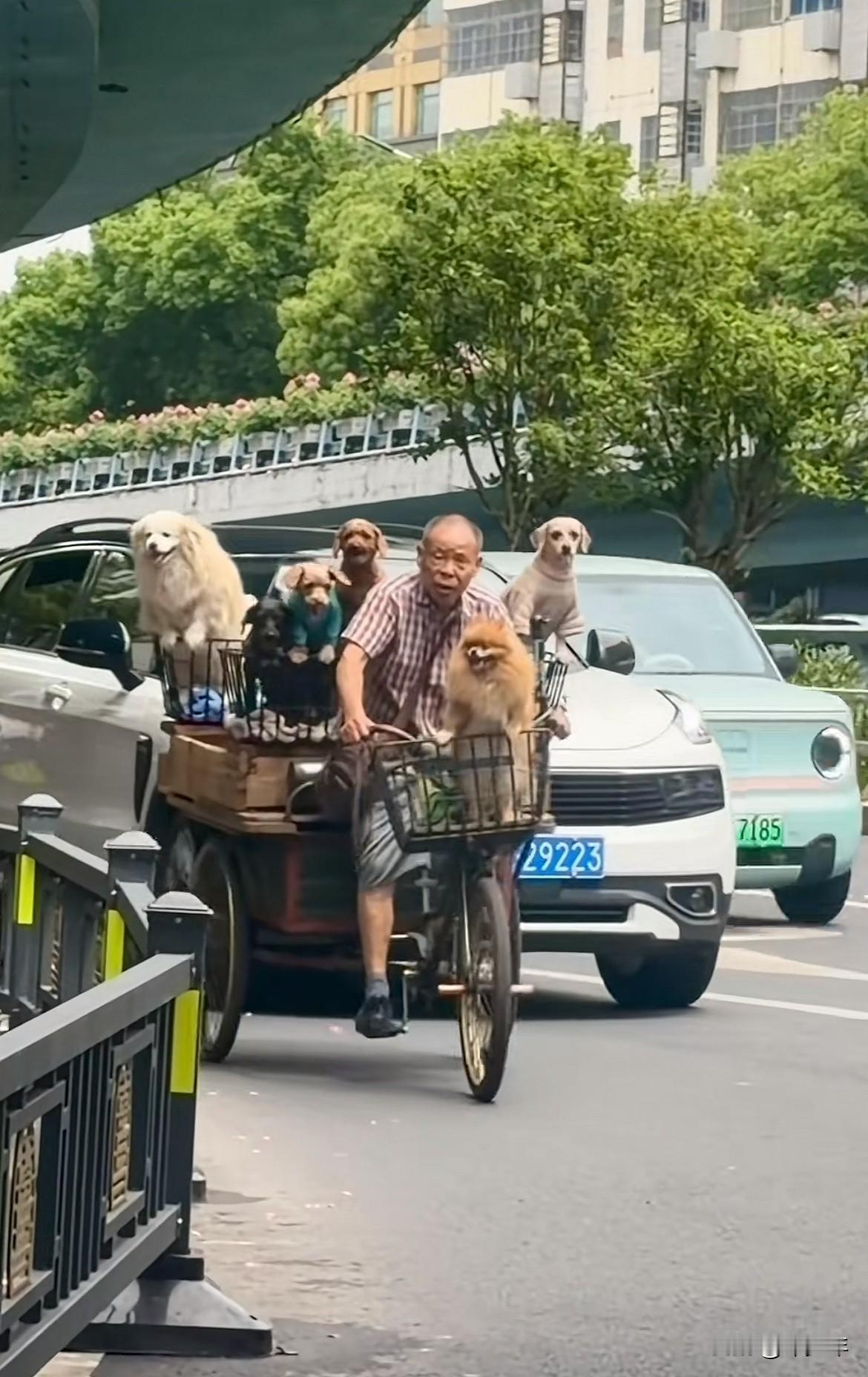 第一眼，你怎么评价这位老人？
如果他是一位孤寡老人，又怎么评价他？
再如果，他有