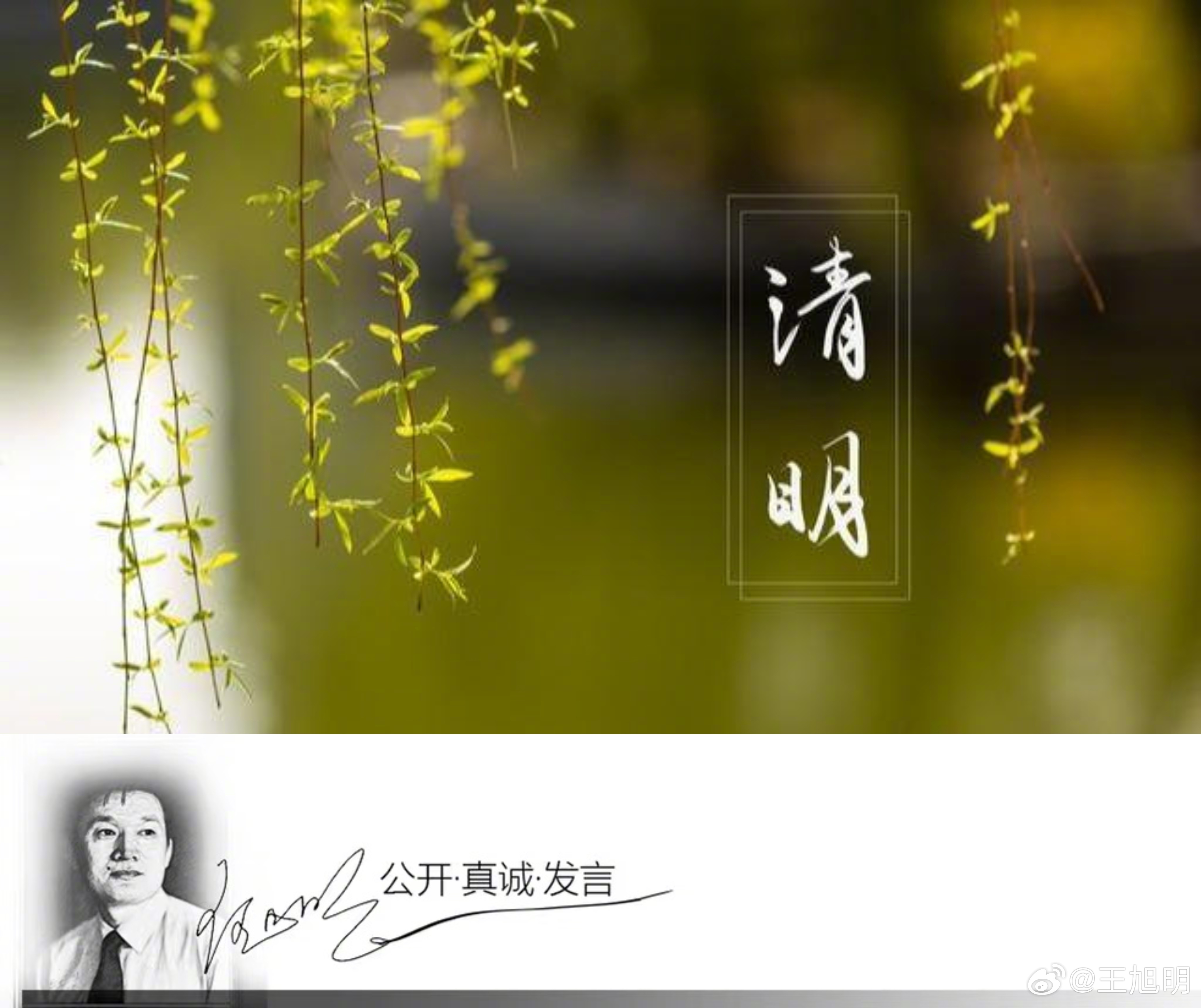 #明夜思#清明节，我们当然是要祭奠自己敬重的逝者，但还别忘了祭奠一下自己逝去的青
