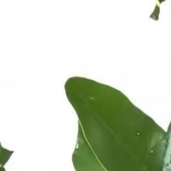 阳光信用[超话]阳光信用 0000心善则美，心纯则真，持有一颗平常心，坐看云起云