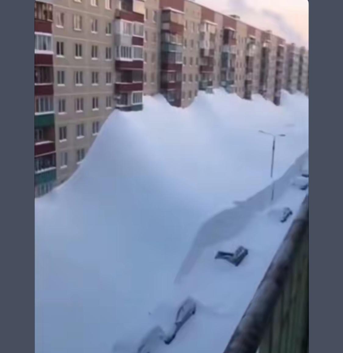 所有人都以为这是普通的降雪，只有我知道，这是末日的开始。这一世，我要变卖家产，打