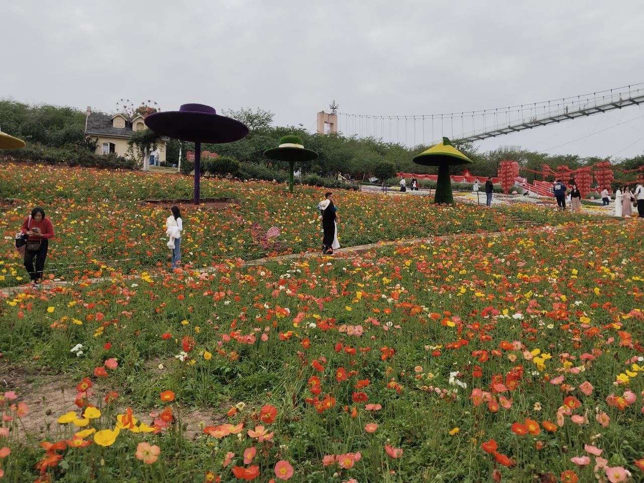 成都·漫花庄园

成都漫花庄园四季皆可赏花。漫花庄园拥有600余亩花田，5000