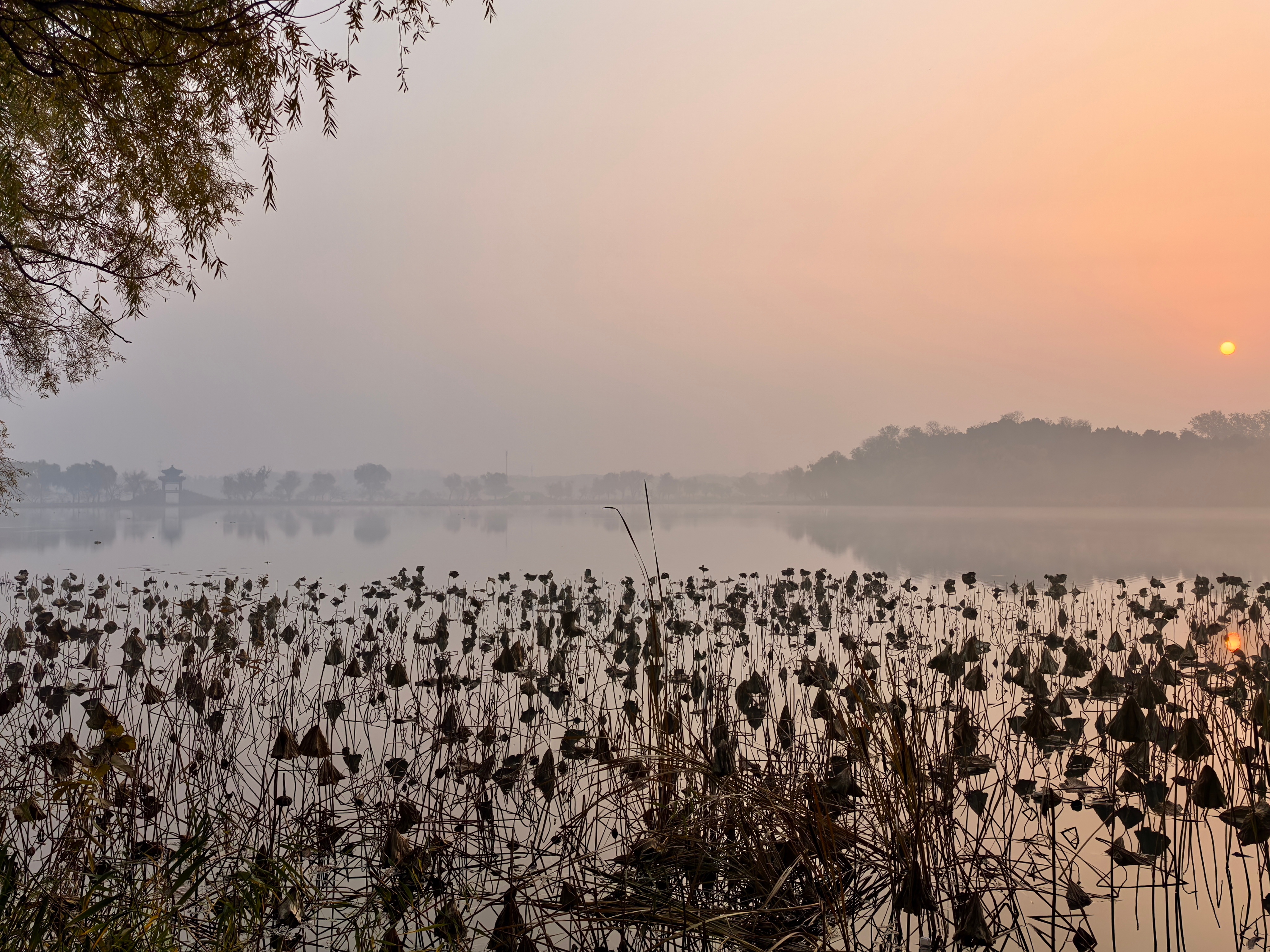 S-目前还是在化工、钢铁里面蹲着吧，外面风险刮风下雨的，不敢出去。 