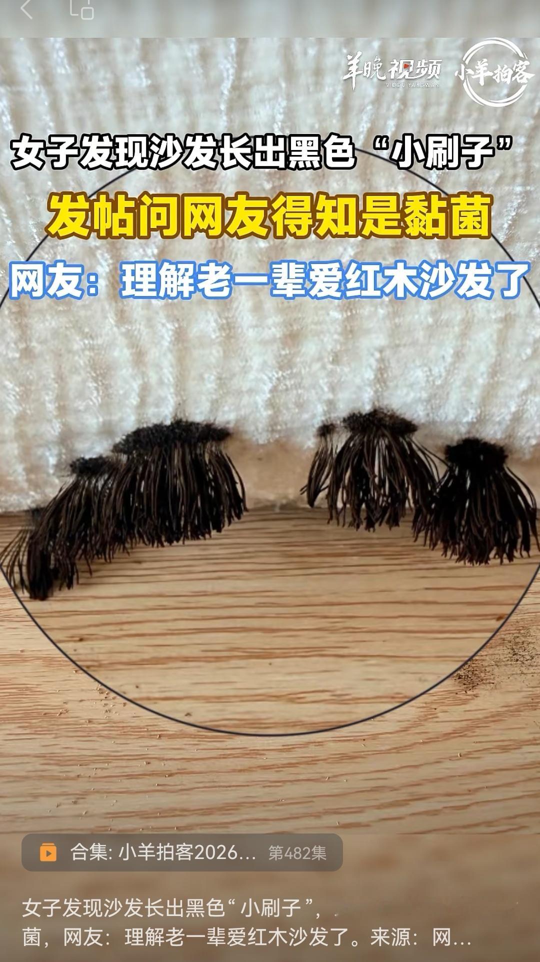 卧槽，好恶心 