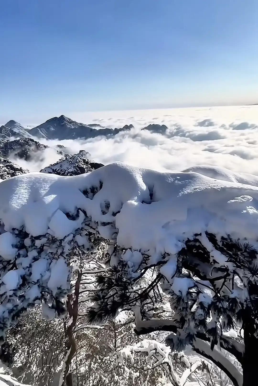 我攒够钱想年底带爸妈飞泰国，刚开口我妈就摇头，说飞机掉海里都没人捞。
我掏出手机